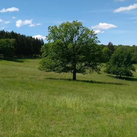 Ferientraum Am Rothaarsteig Wilnsdorf