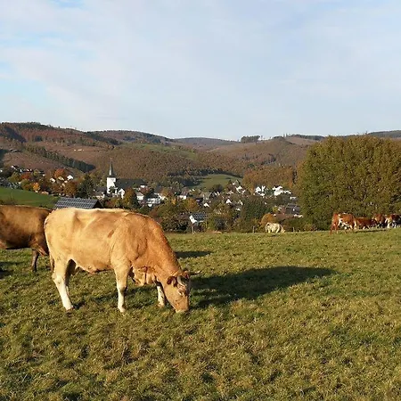 Daire Ferientraum-am-rothaarsteig Wilnsdorf