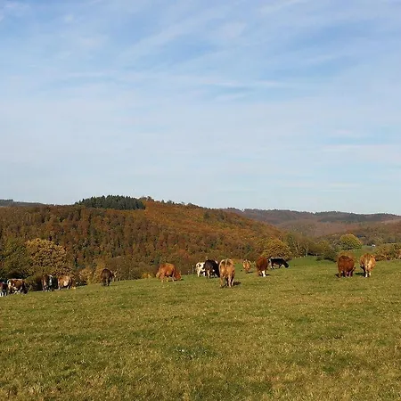 Ferientraum-am-rothaarsteig * Wilnsdorf