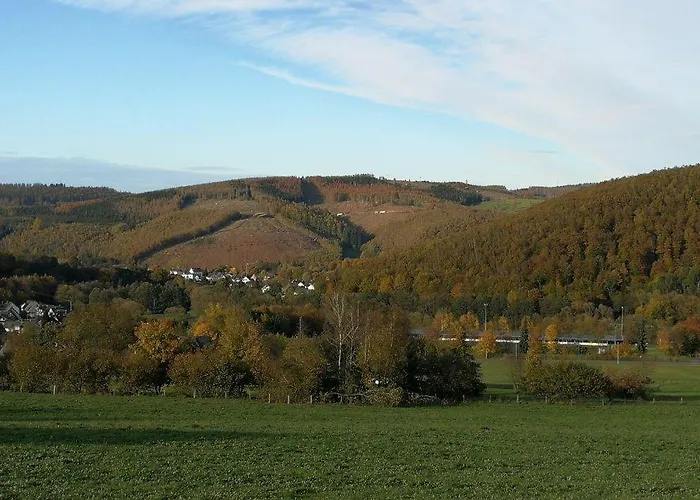 公寓 Ferientraum-am-rothaarsteig *