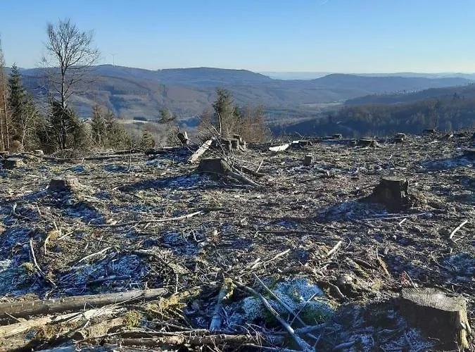Ferientraum-am-rothaarsteig