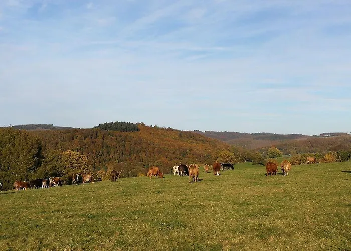 Ferientraum-am-rothaarsteig * Wilnsdorf